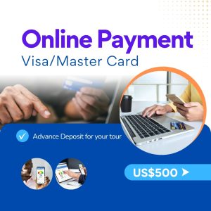 Online Payment Banner