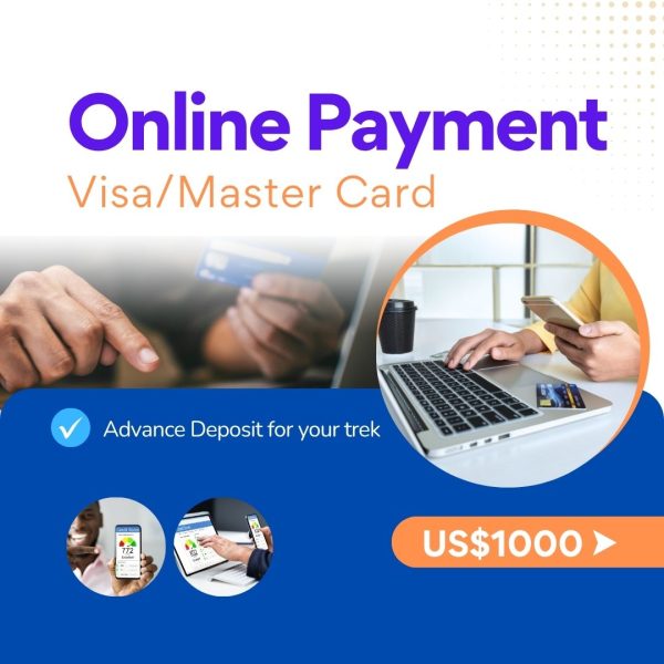 Online Payment US$1000